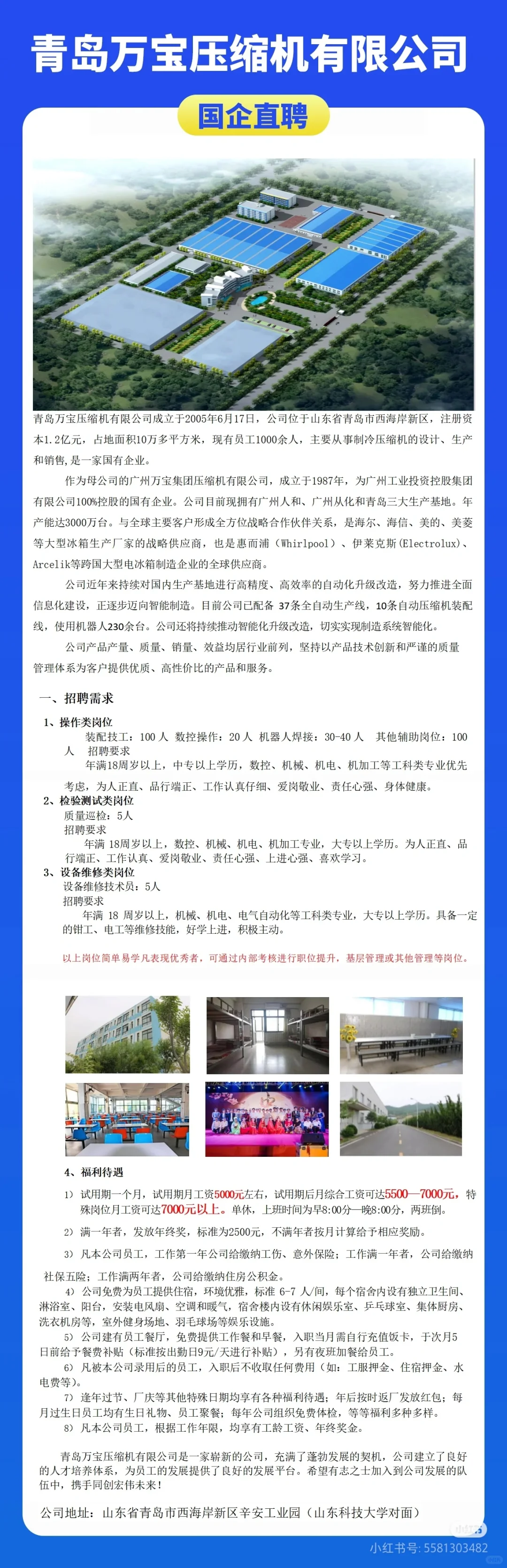 国企直聘，坐标青岛