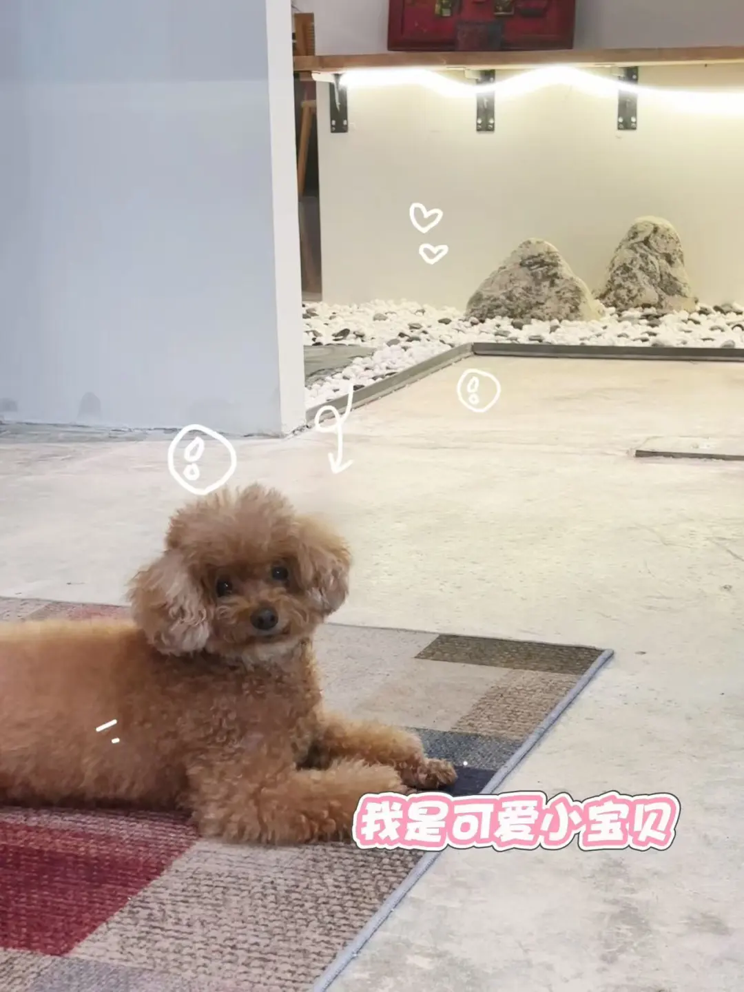 南宁还有谁没找到稳定工作？
