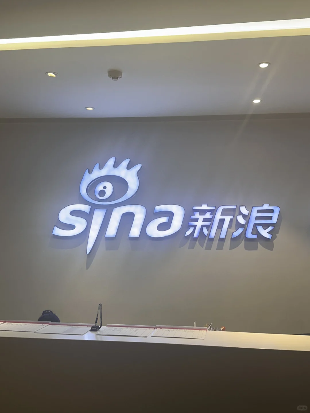 新浪招继任～