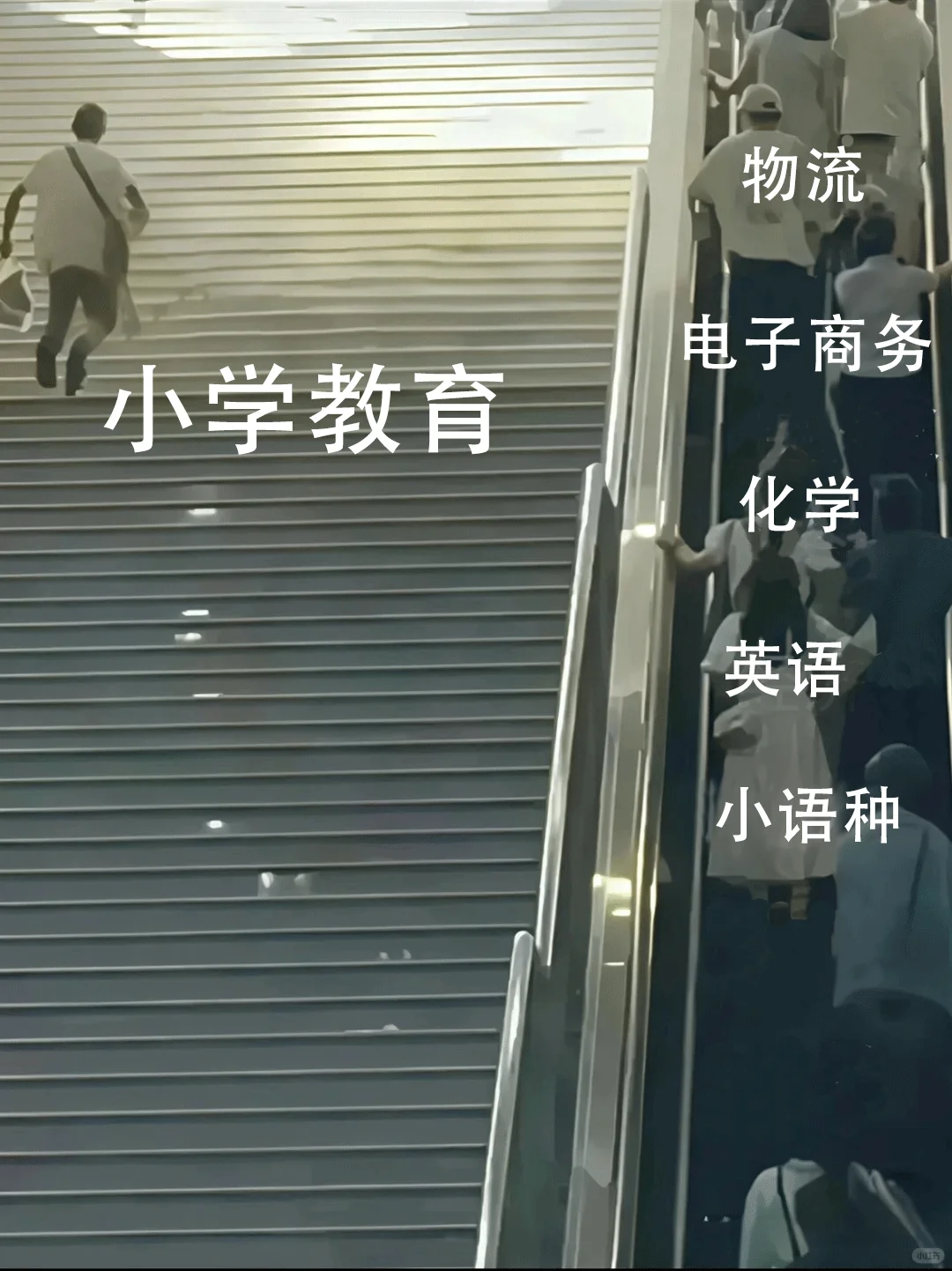 小学教育的出路来了！！！