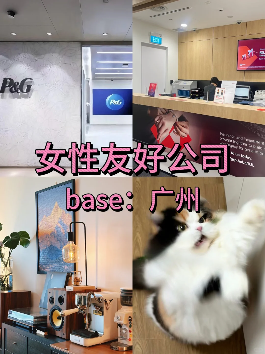 女性友好公司：广州篇