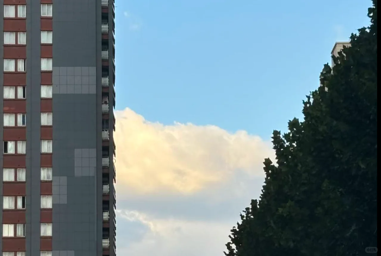 我想工作的意义就在这里
