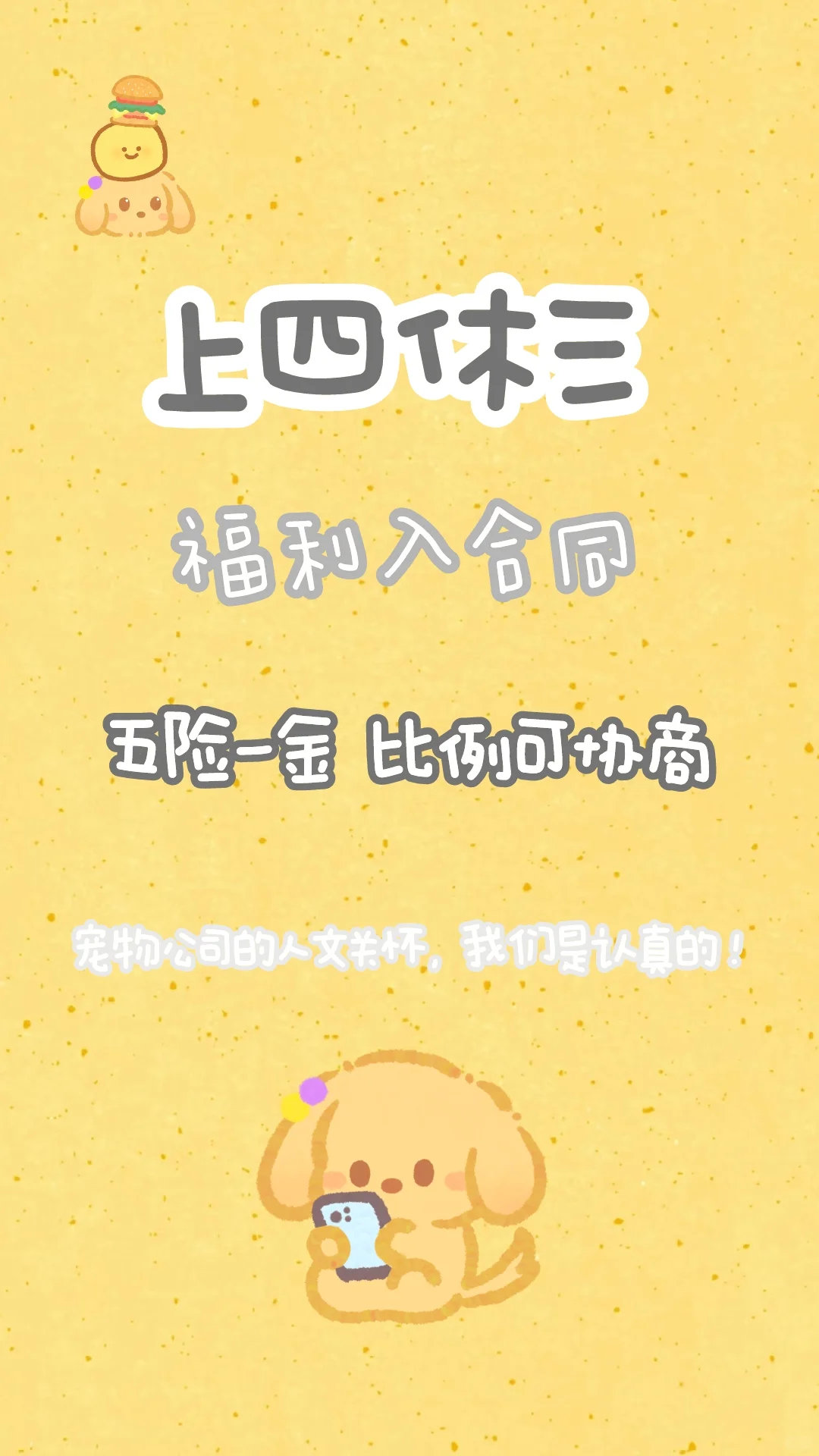 宁波宠物公司上四休三