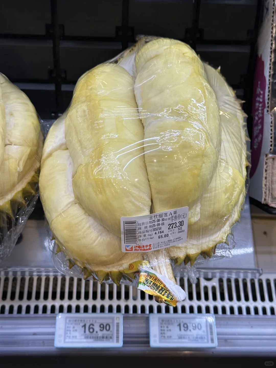 犍为招聘带货主播