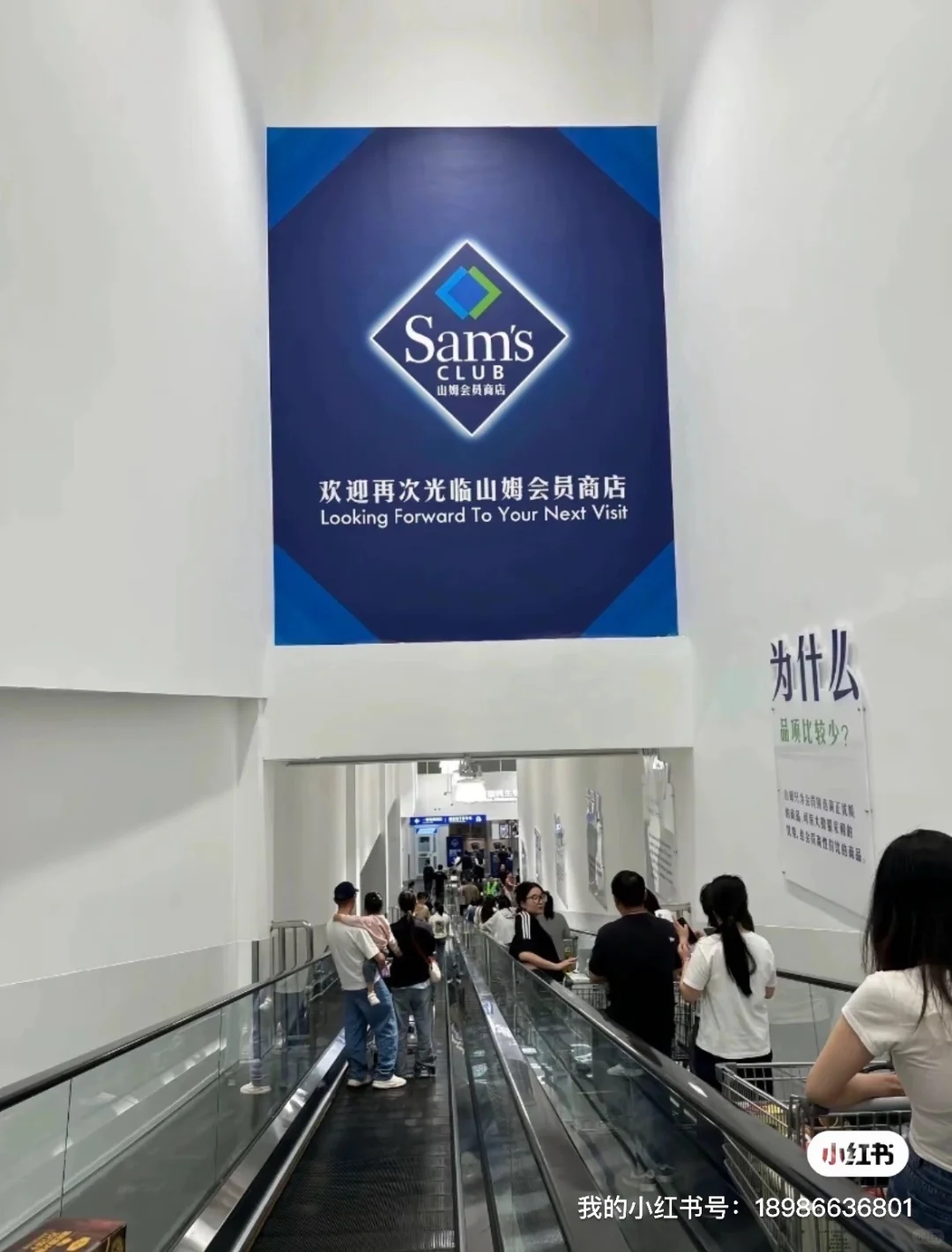 山姆急招！上海！