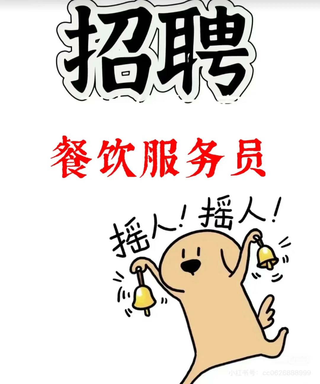 招聘人才💗