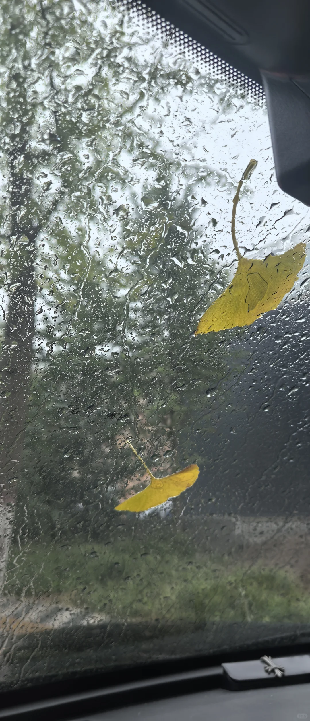 邯郸丛台区高xin急聘