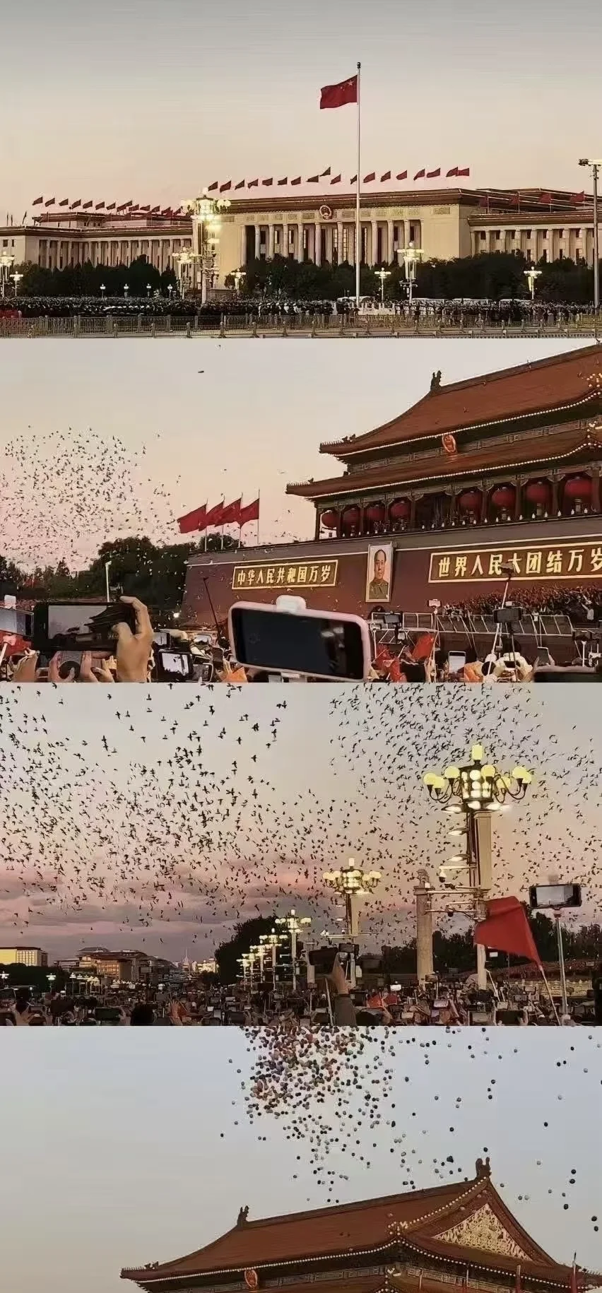 考公壁纸这不就有了嘛？！还得官方哇！好看！