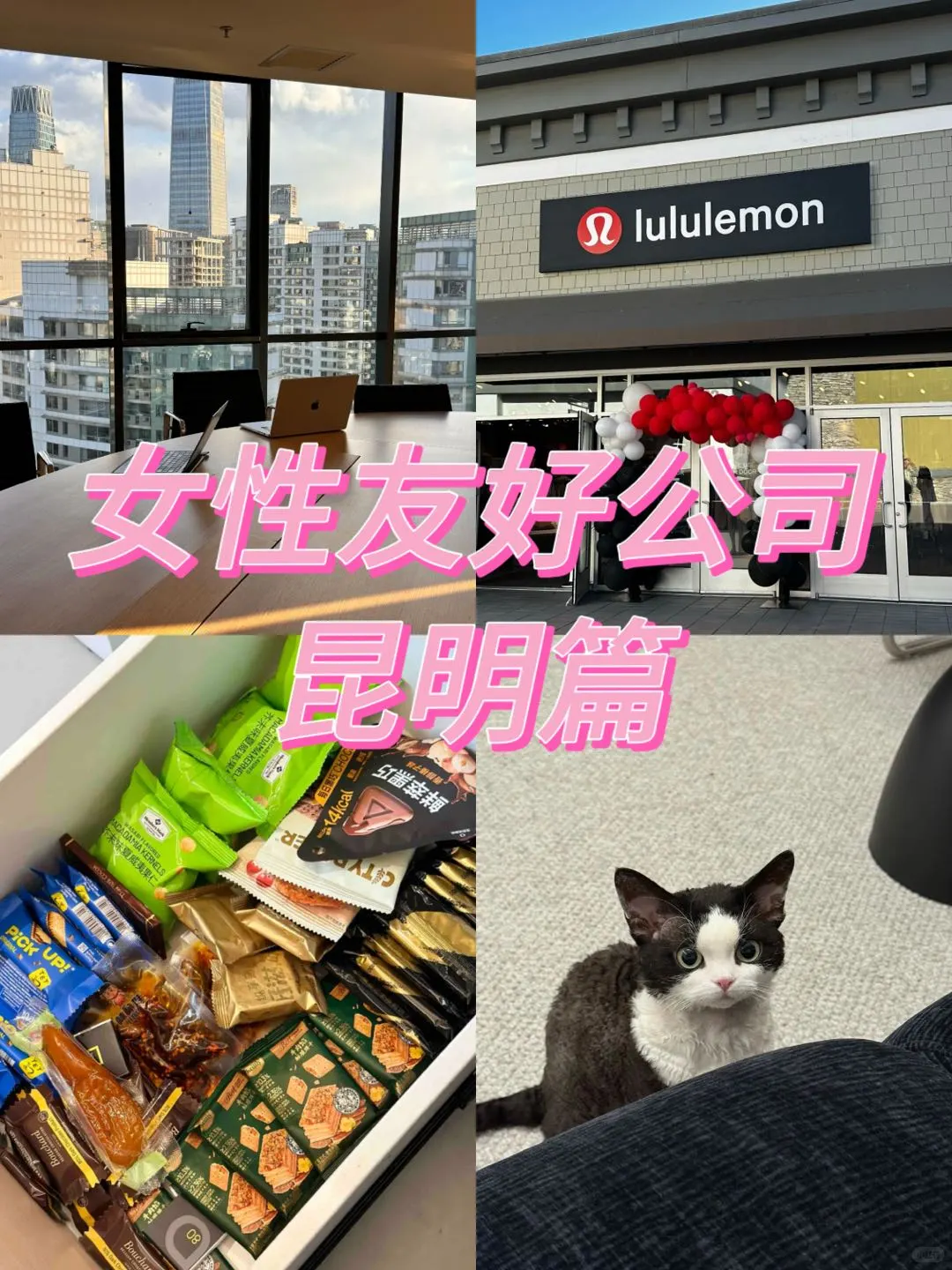 对女性友好的神仙公司-昆明篇