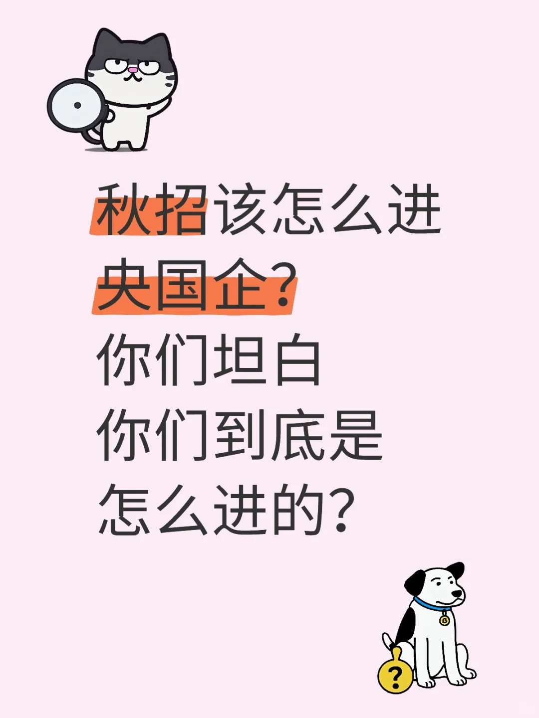 秋招该怎么进央国企