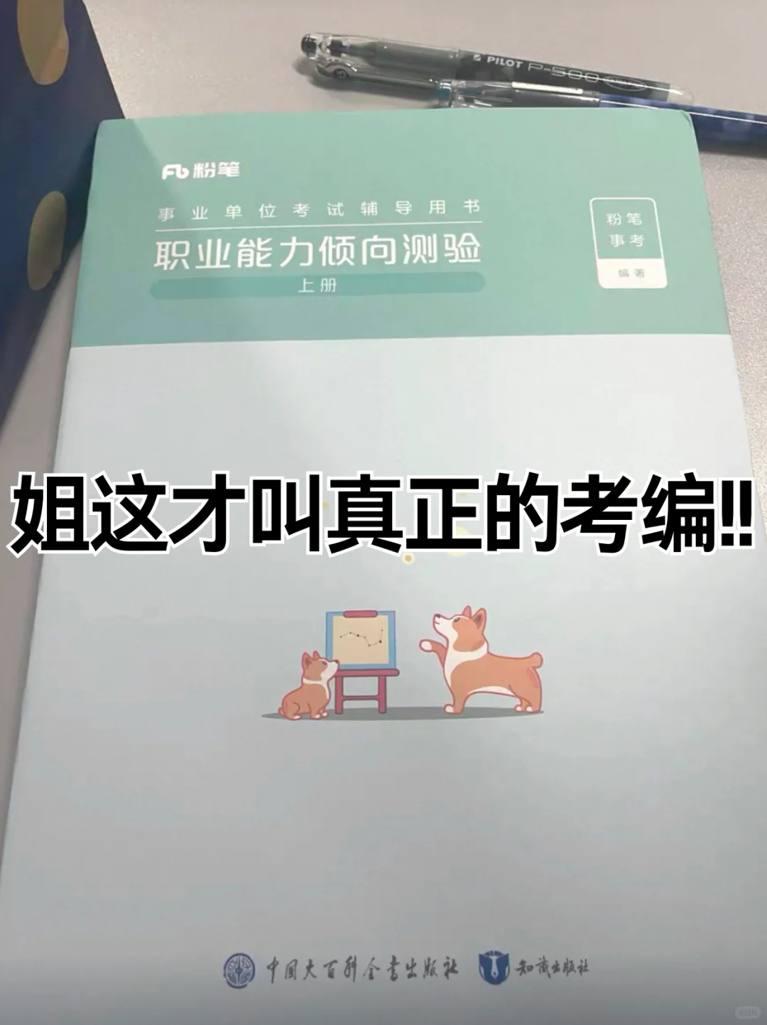 姐就是这样拼命考上事业编的！（极限版）