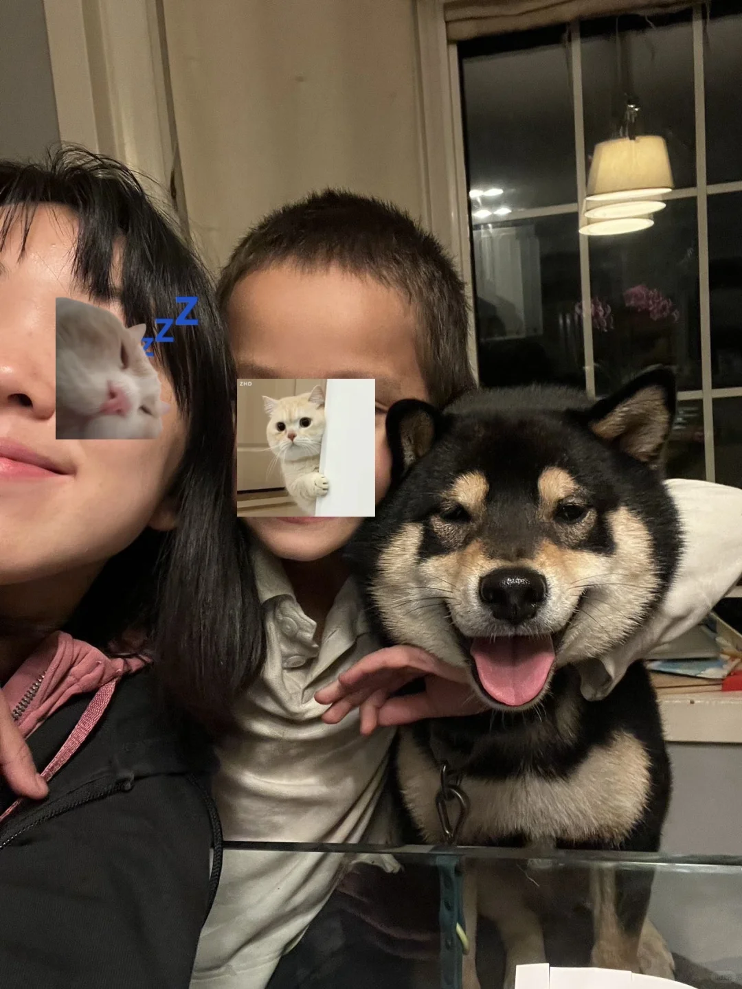 Mountain view南湾 附近babysitter 求职