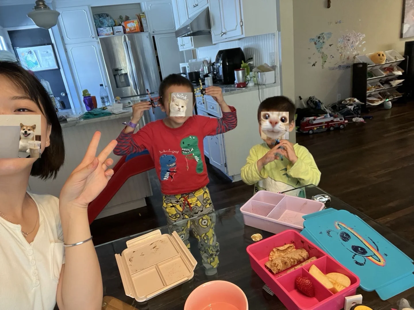 Mountain view南湾 附近babysitter 求职