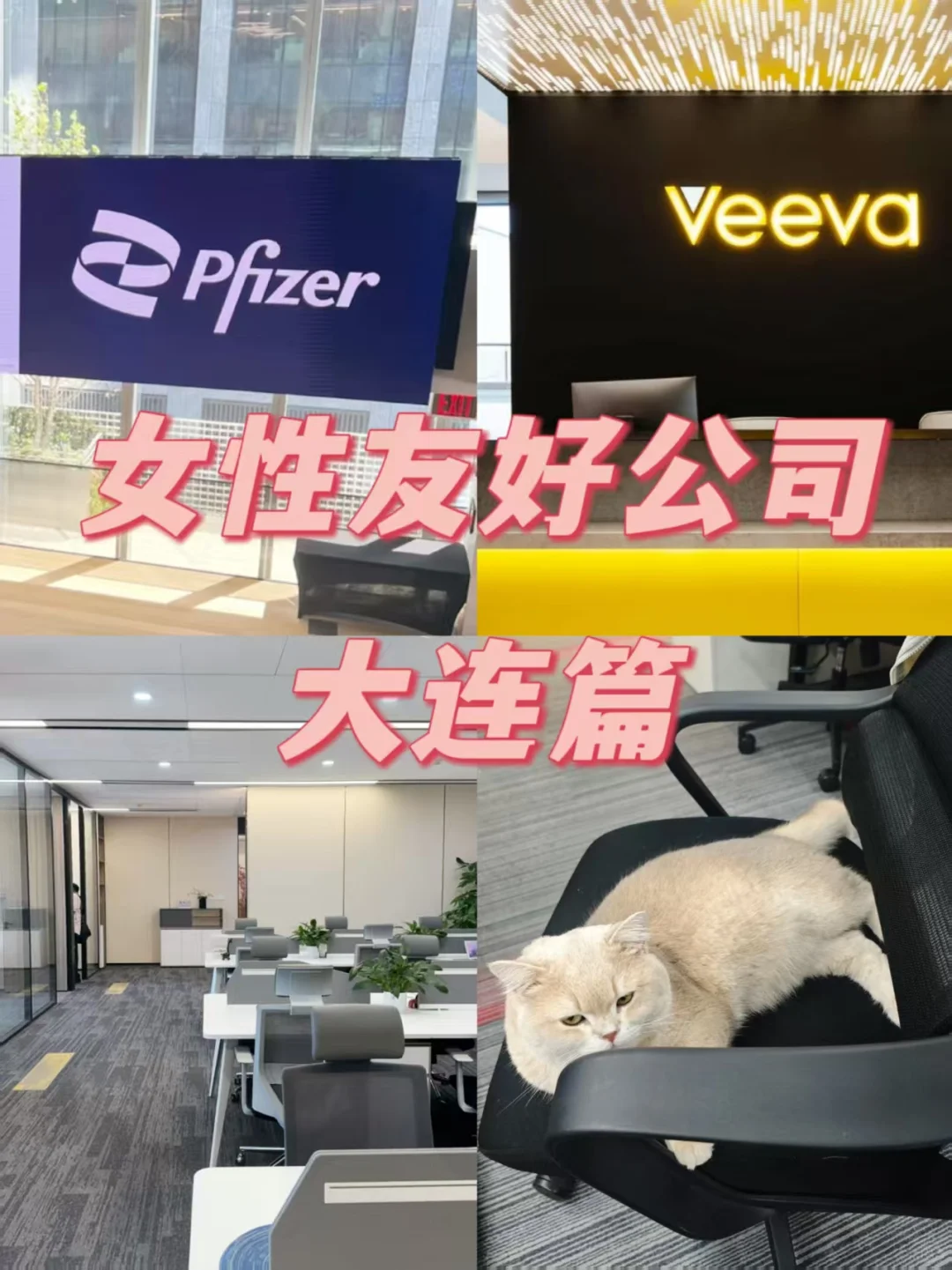 大连女性友好公司，待遇相当不错