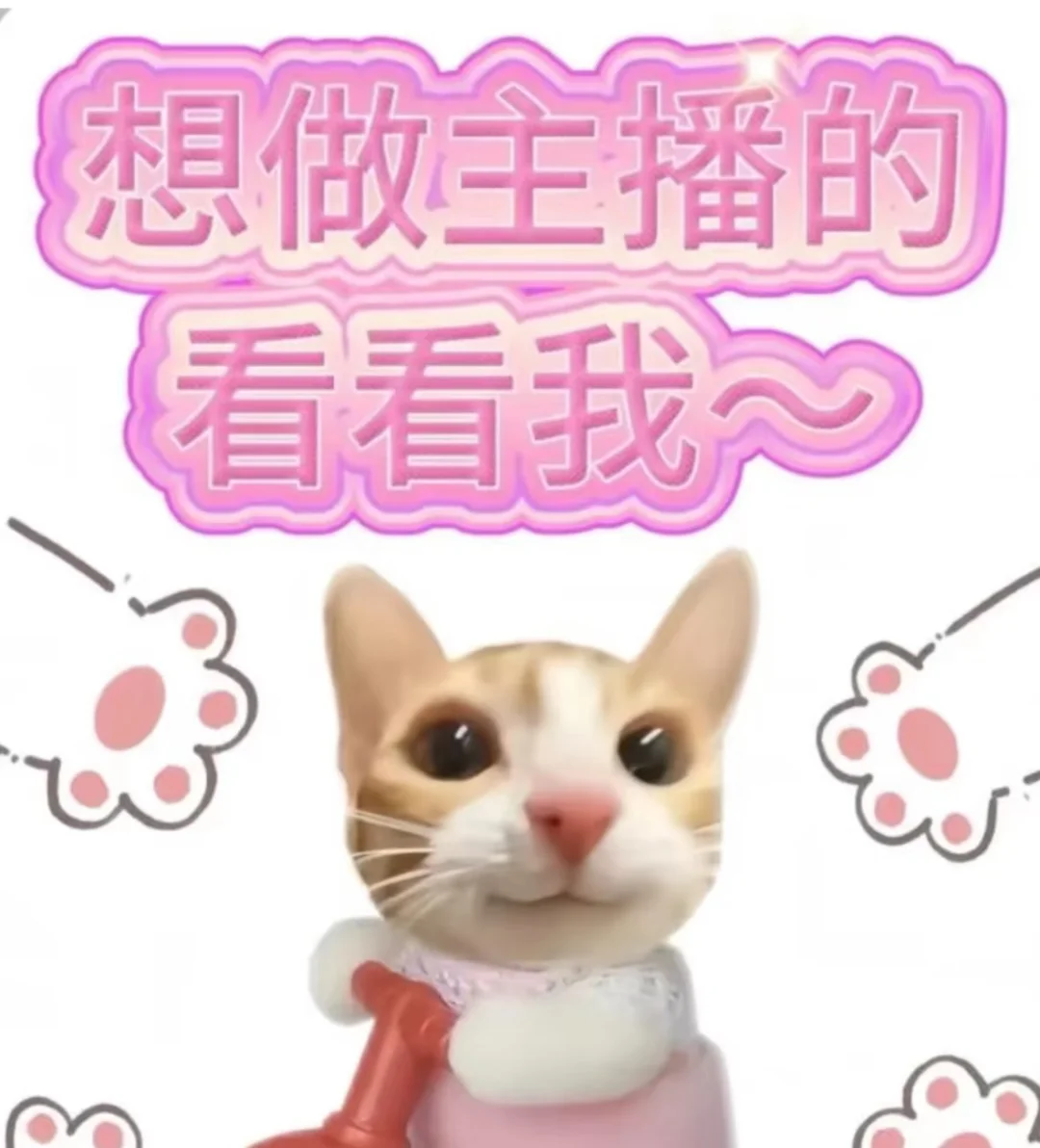 如果你想做主播那就来试试吧