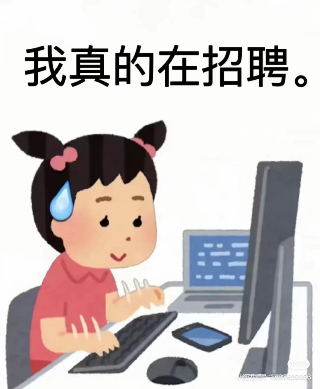 急招销售！