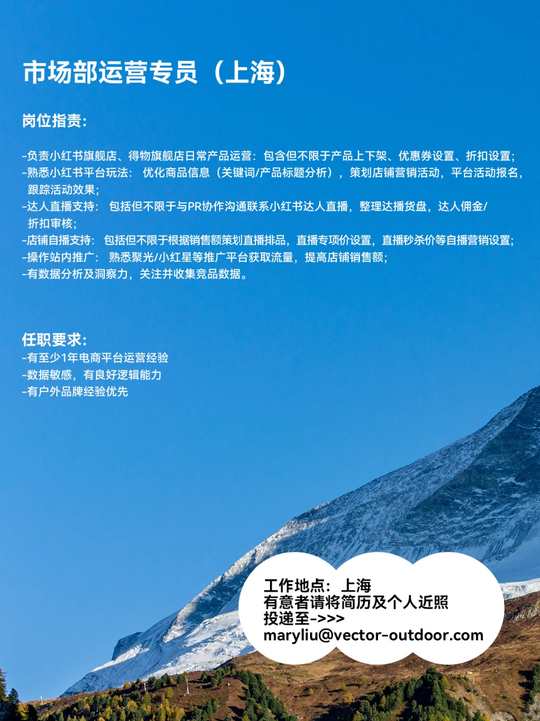 VECTOR招聘💼寻找有趣灵魂📢加入我们‼️