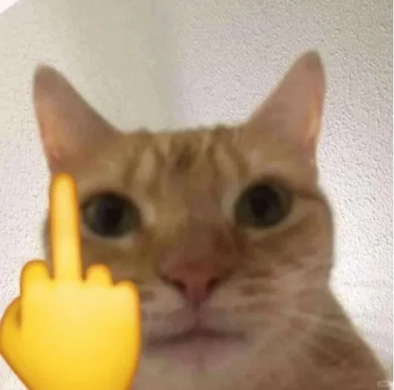 再次提醒双非硕：先冲大专教师岗再考公！！