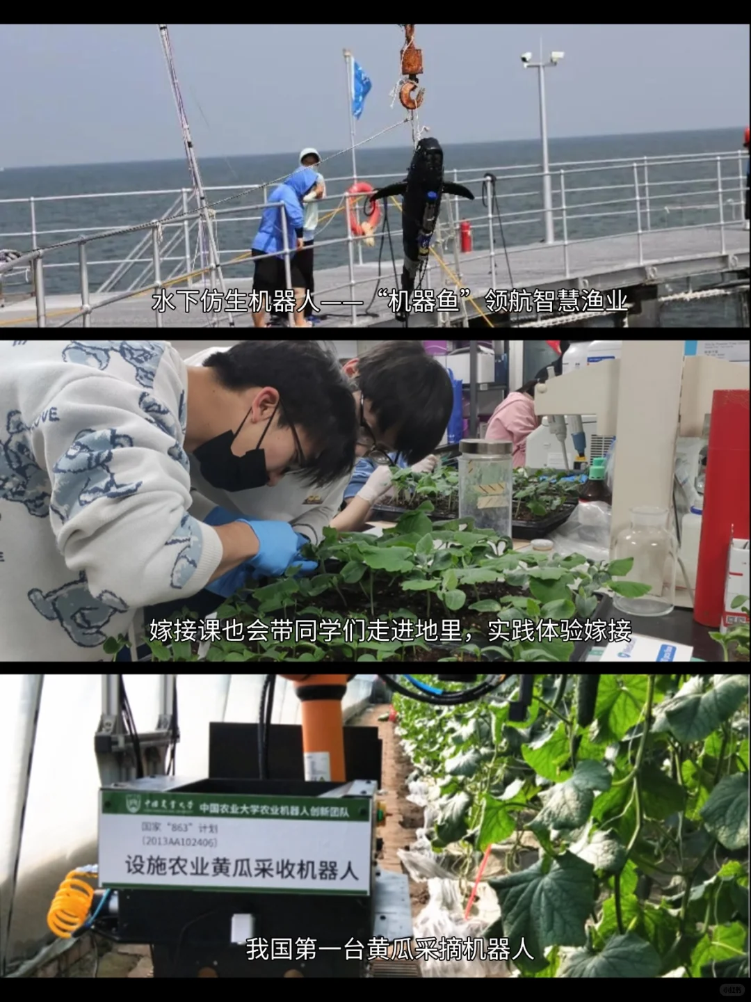 《生万物》DNA动了！这片土地值得一生热爱