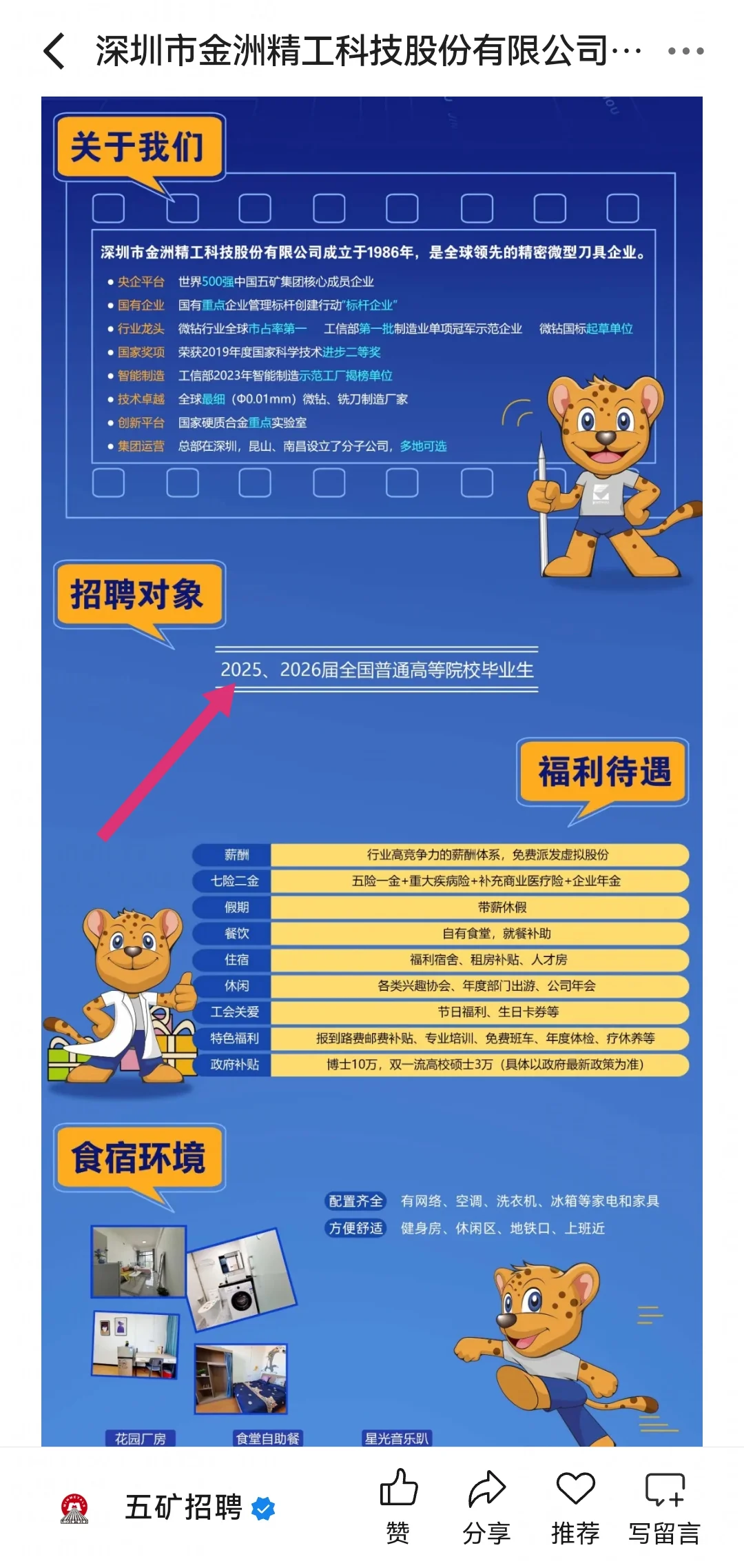 秋招校招一直记得往届生👏