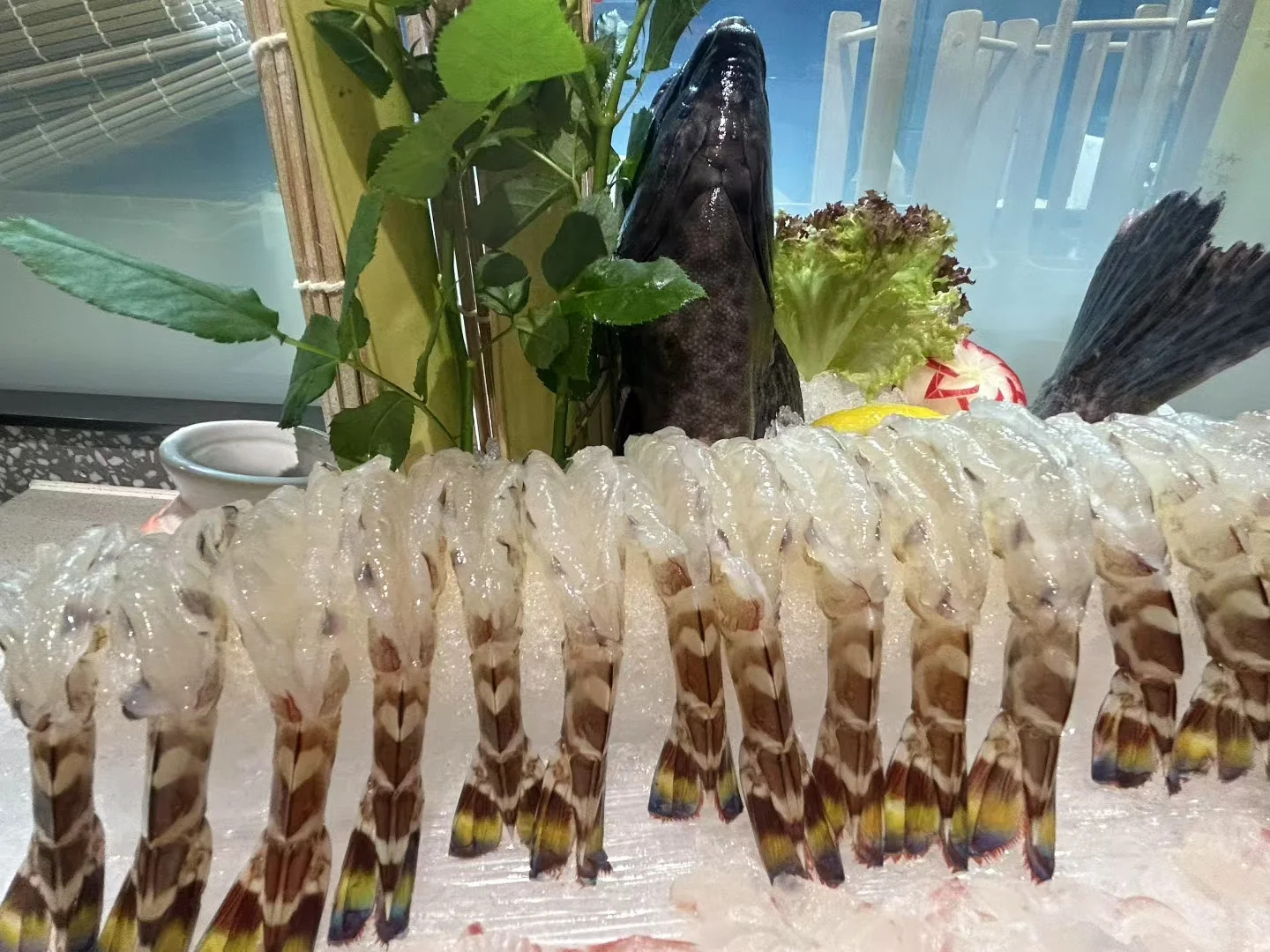 餐饮人才招聘