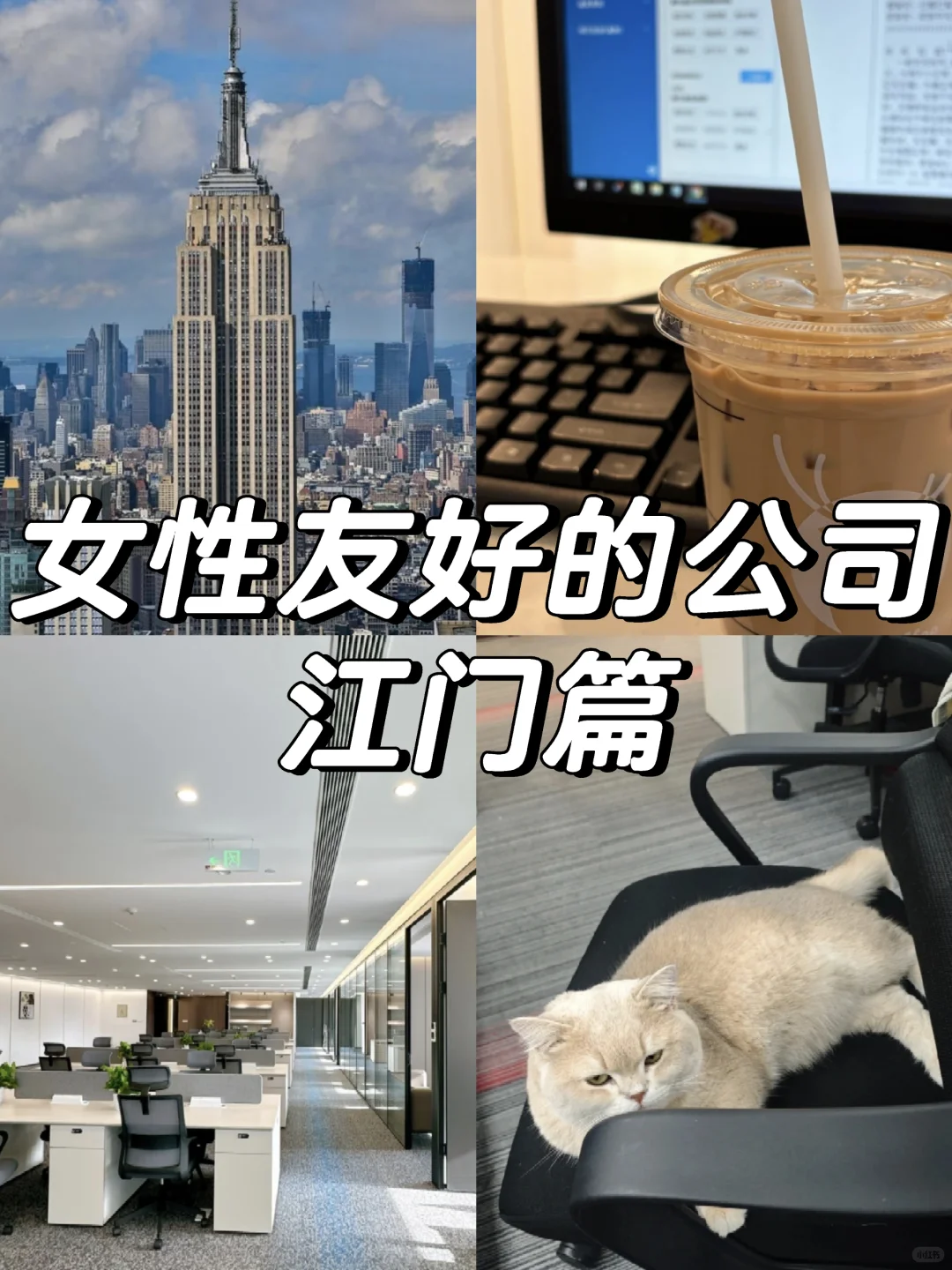 江门女性友好公司，待遇好
