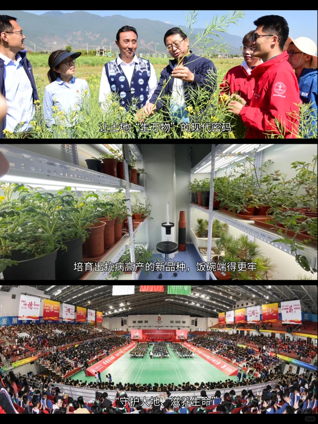 《生万物》DNA动了！这片土地值得一生热爱