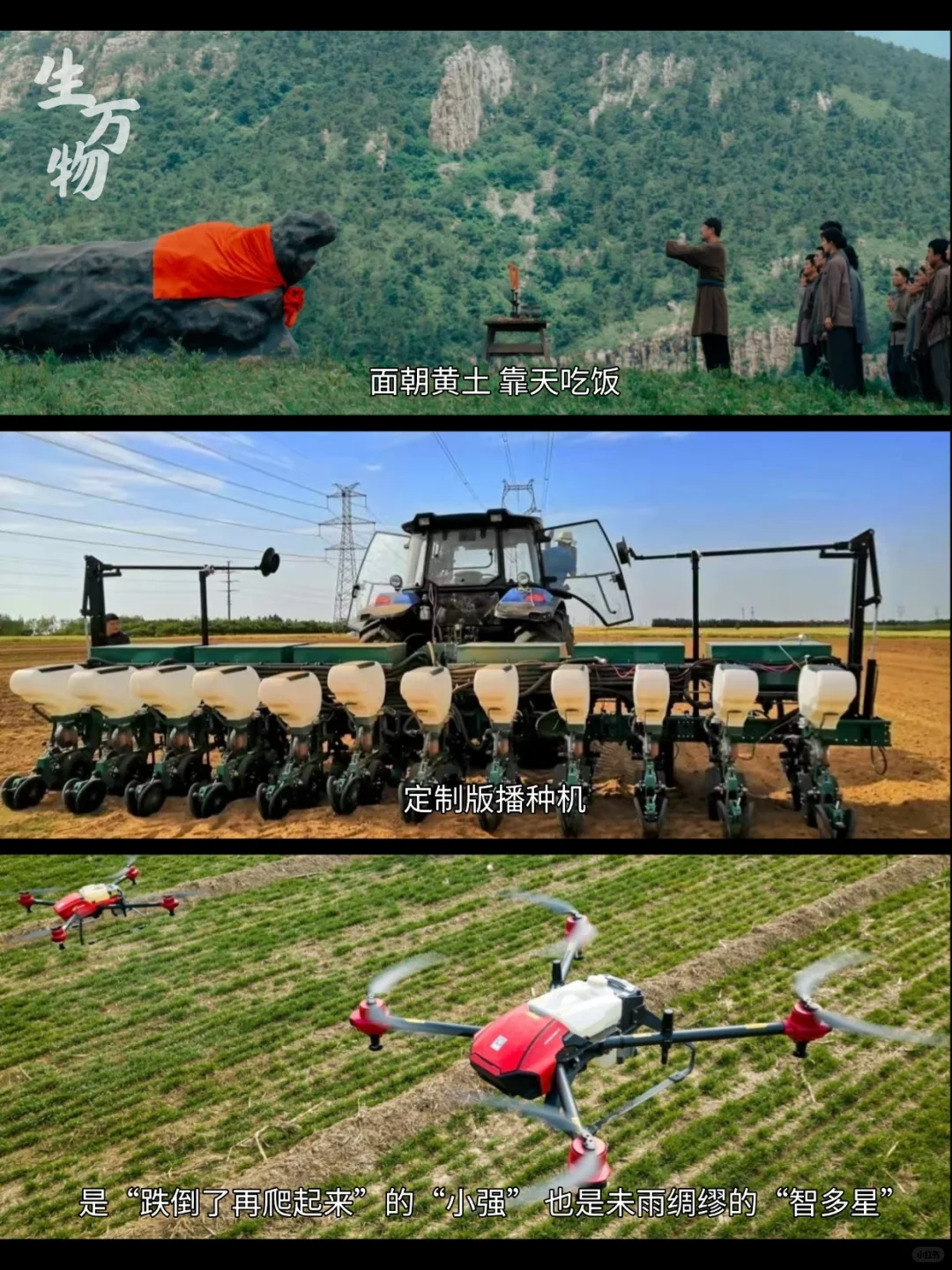《生万物》DNA动了！这片土地值得一生热爱