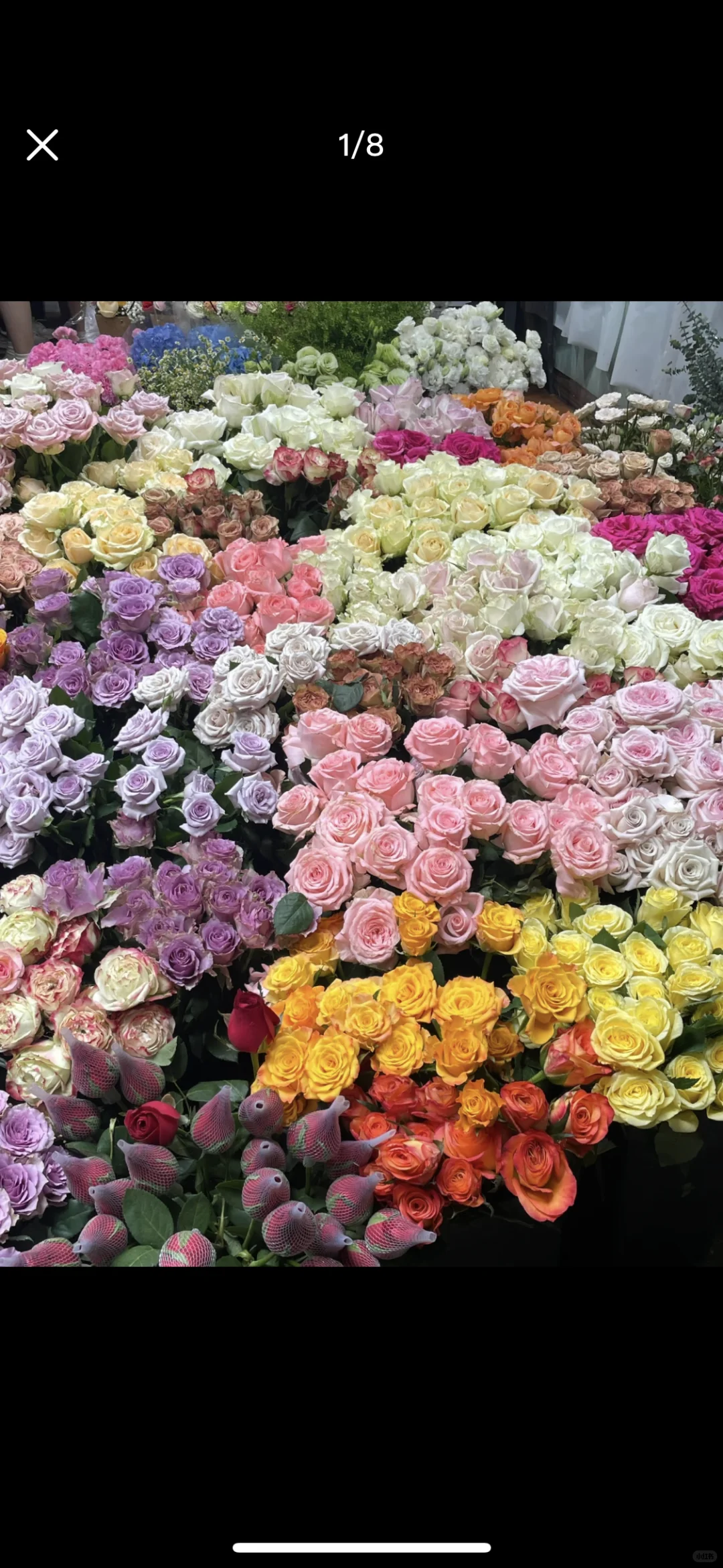 花店招人，想来的私信