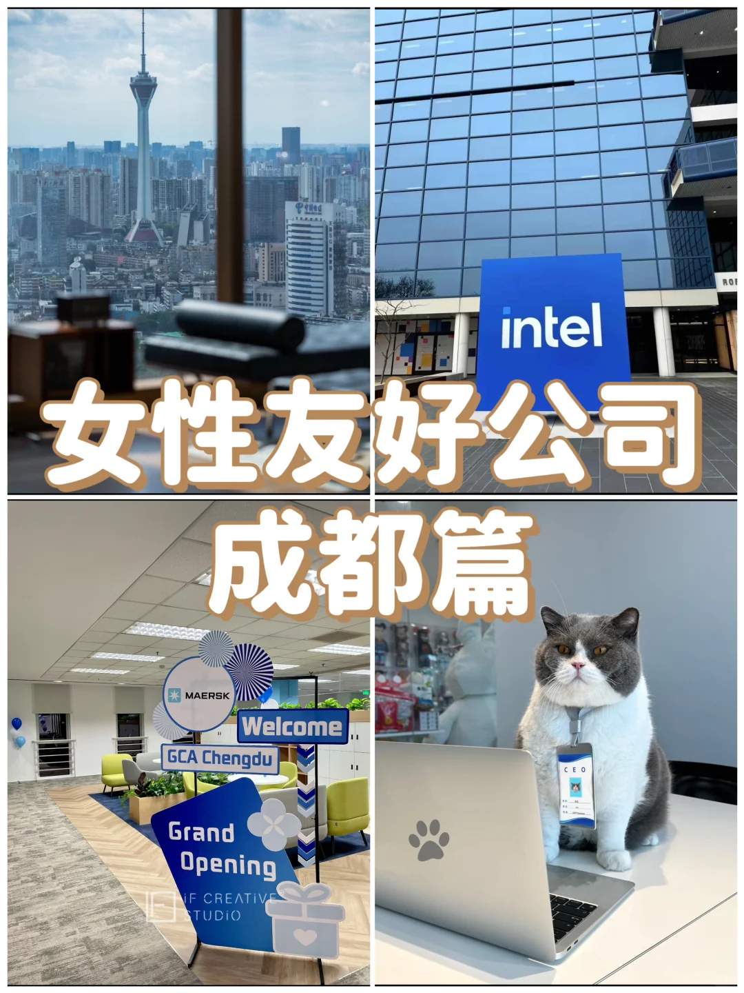 女性友好公司——成都篇