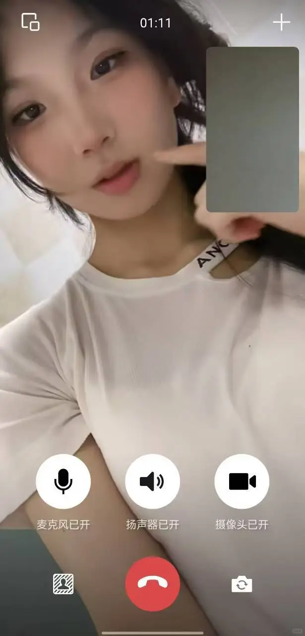 视频聊天来