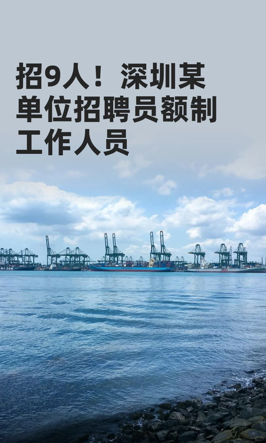 招9人！深圳某单位招聘员额制工作人员