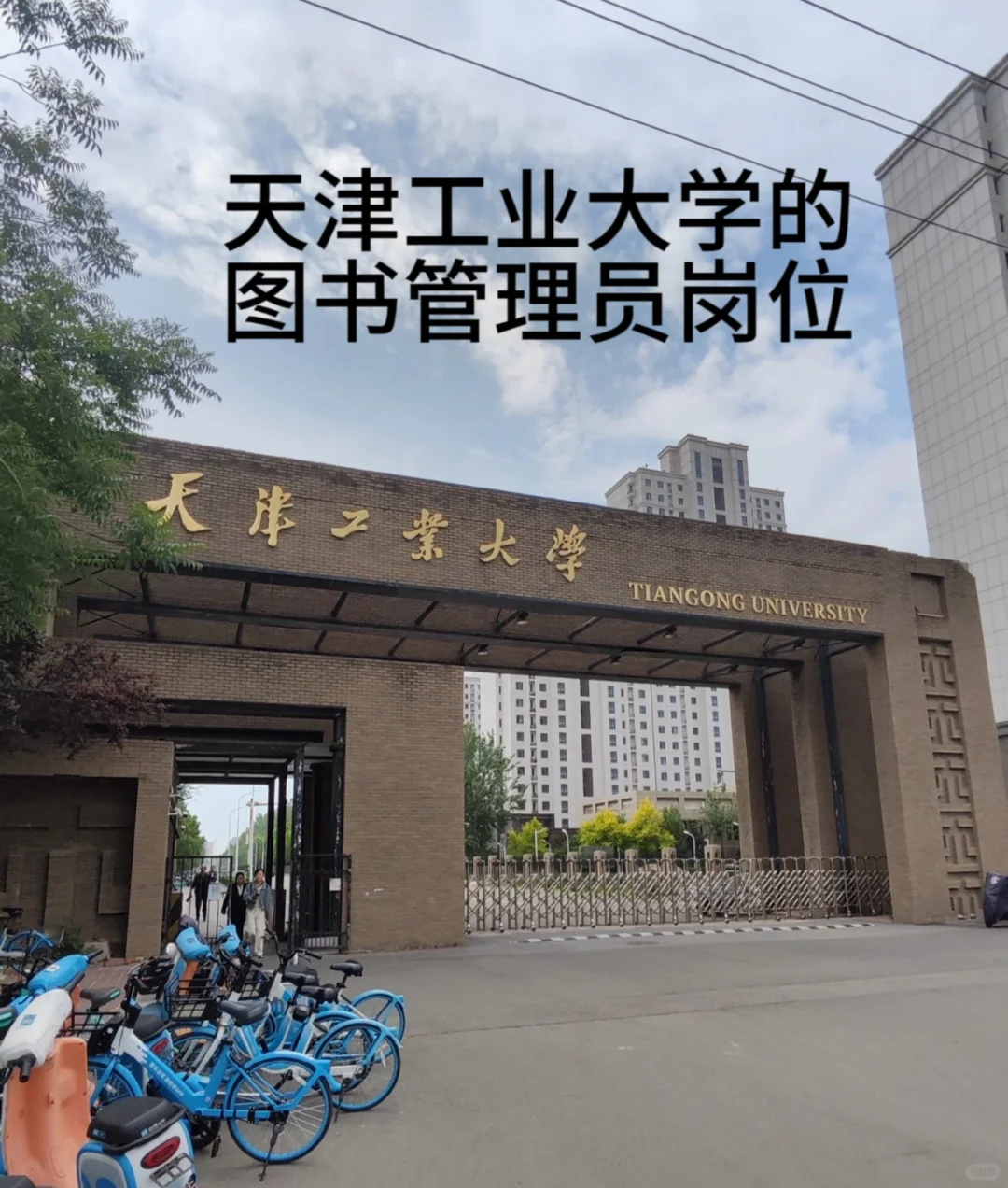 谁懂啊！高校图书管理员的快乐我悟了💫