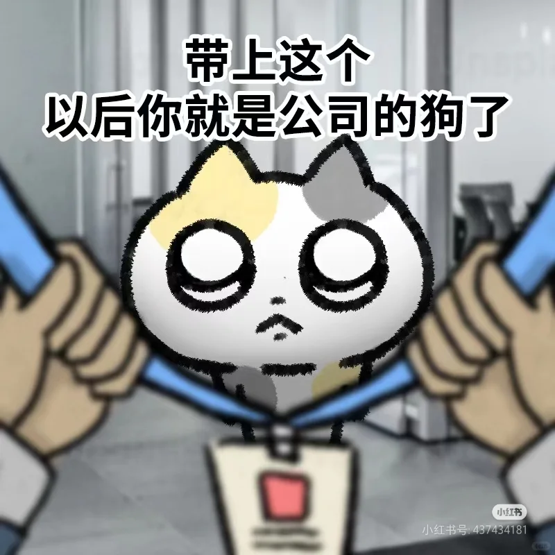 养一只实习生需要注意这些事情