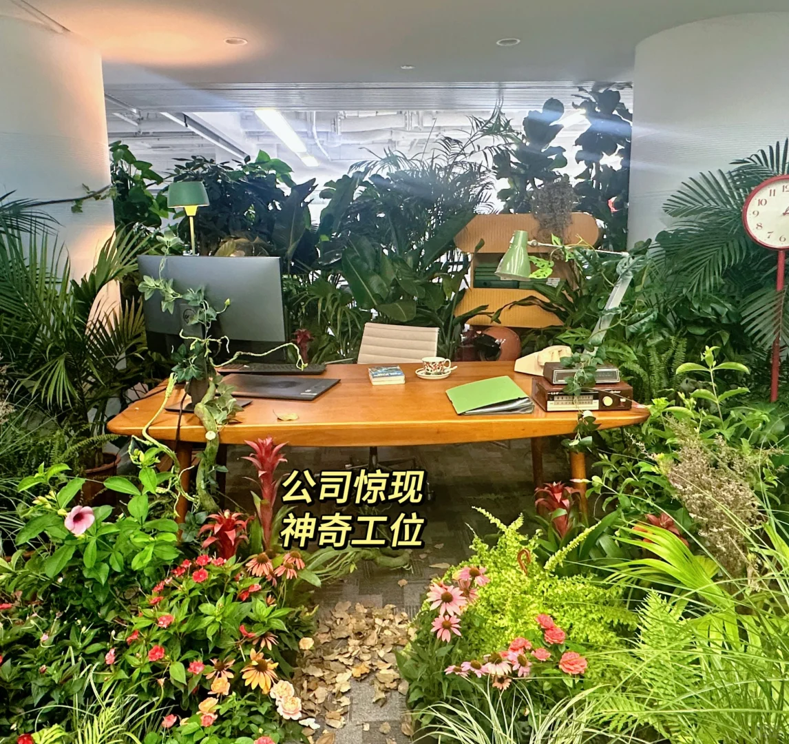 出息啦😆第一次带实习生是种什么体验？