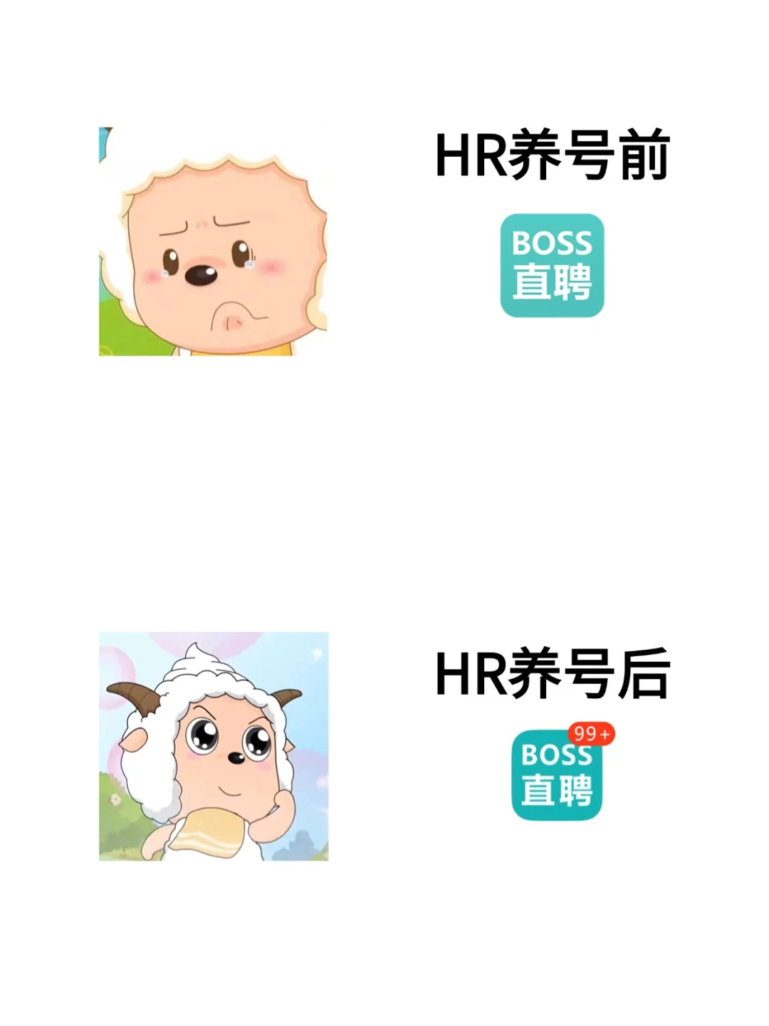 HR 必看！BOSS 直聘高效养号让招聘轻松翻倍