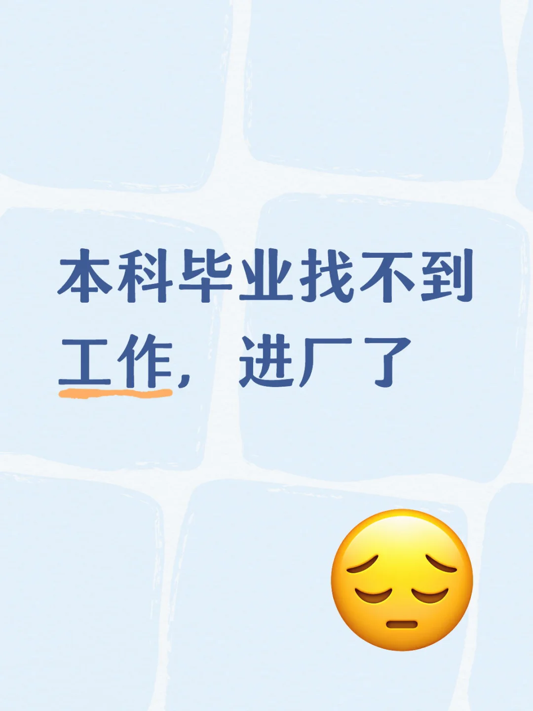 本科毕业还是进厂了