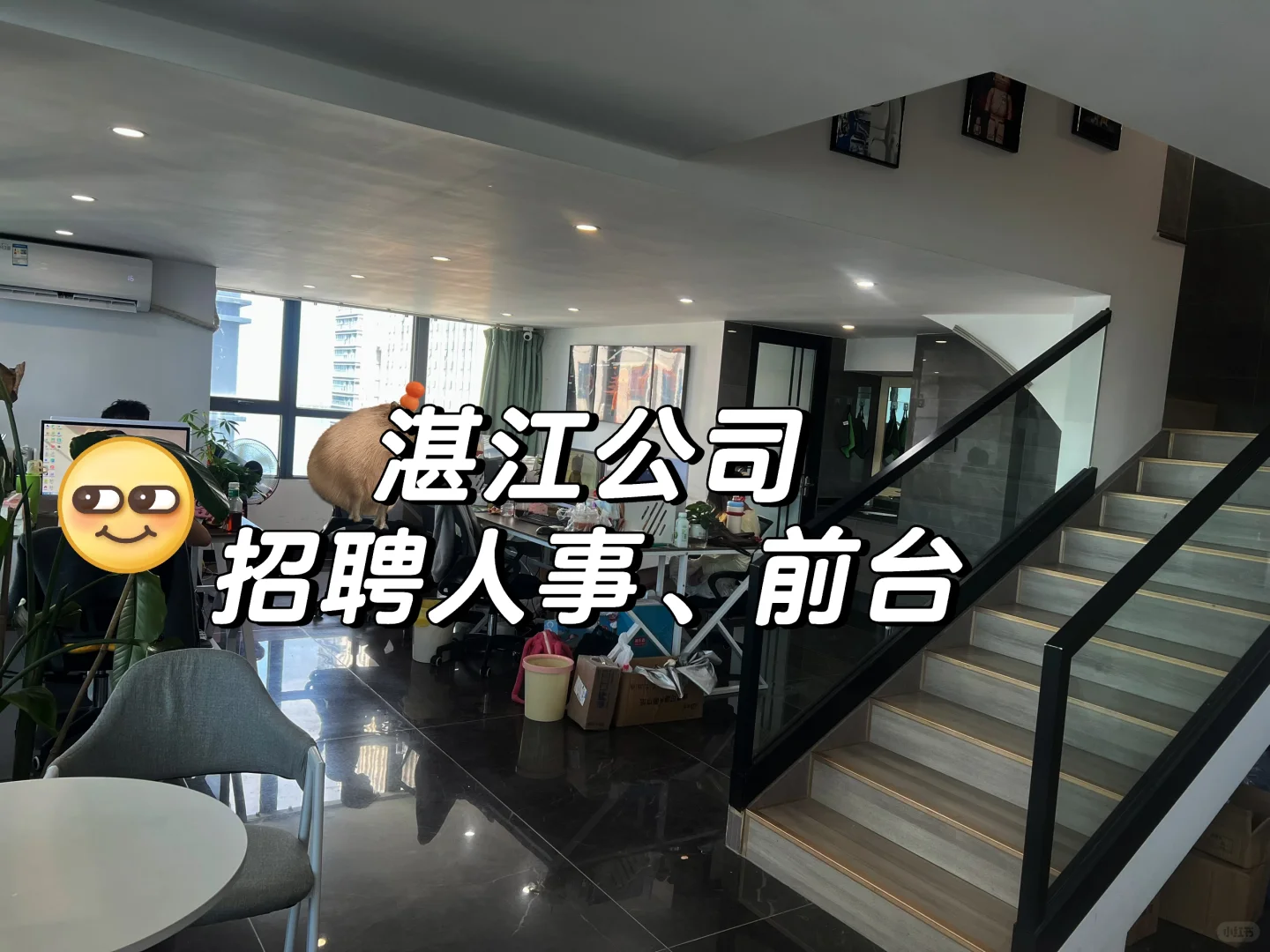 湛江招聘前台、HR 各4名