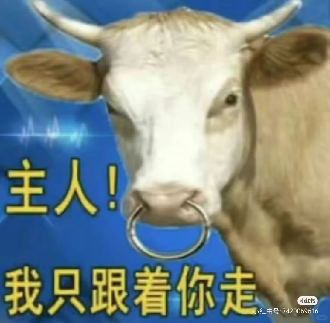 养一只实习生需要注意这些事情