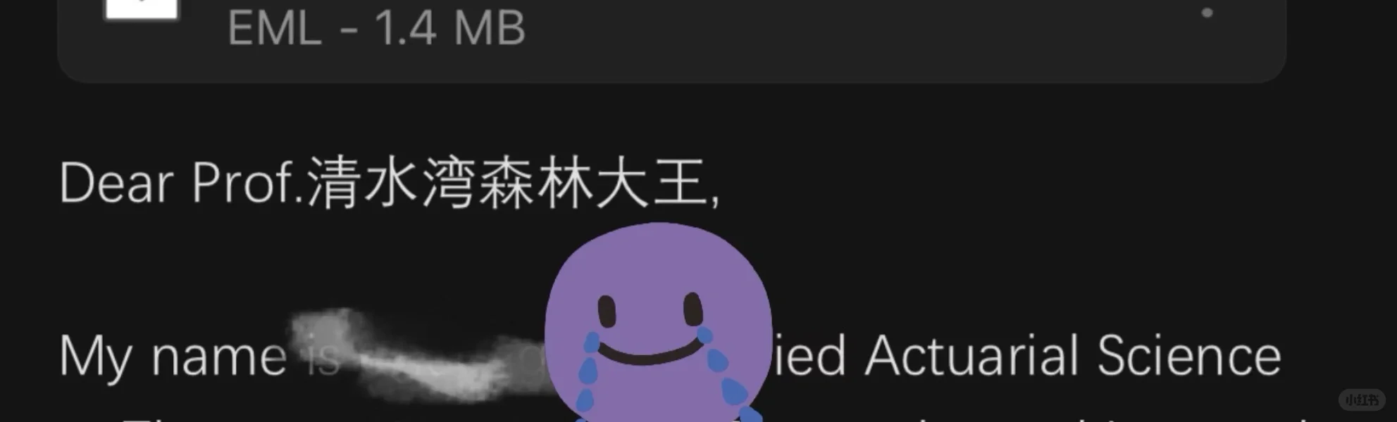 本来想找实习生，结果找到一个天才