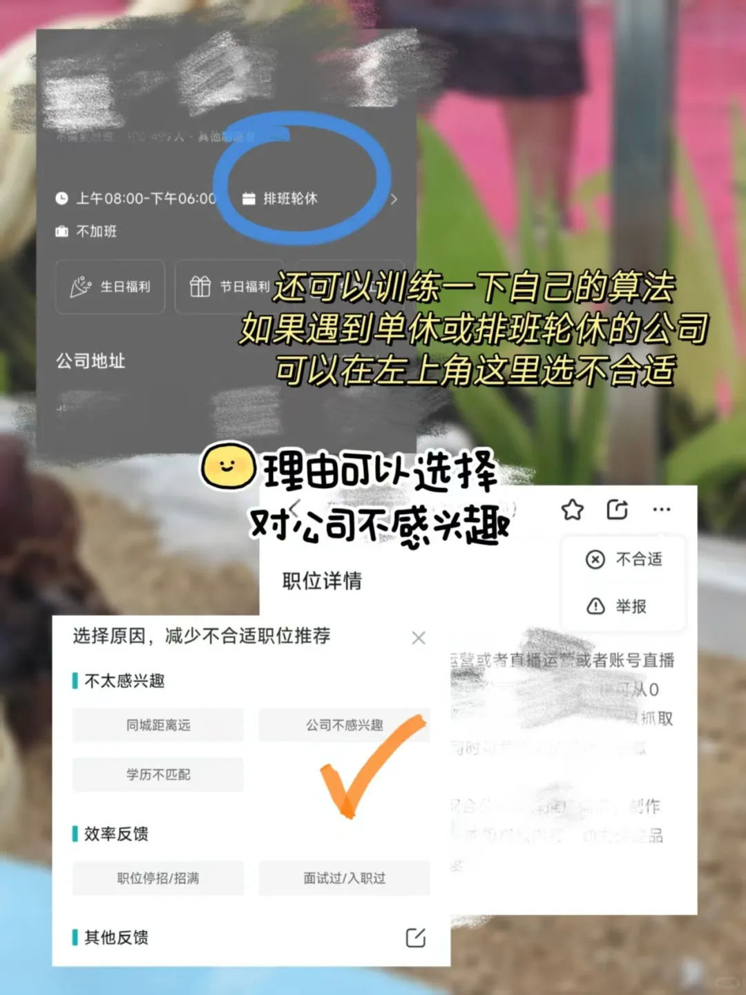 🌈终于在BOSS上找到双休工作了！