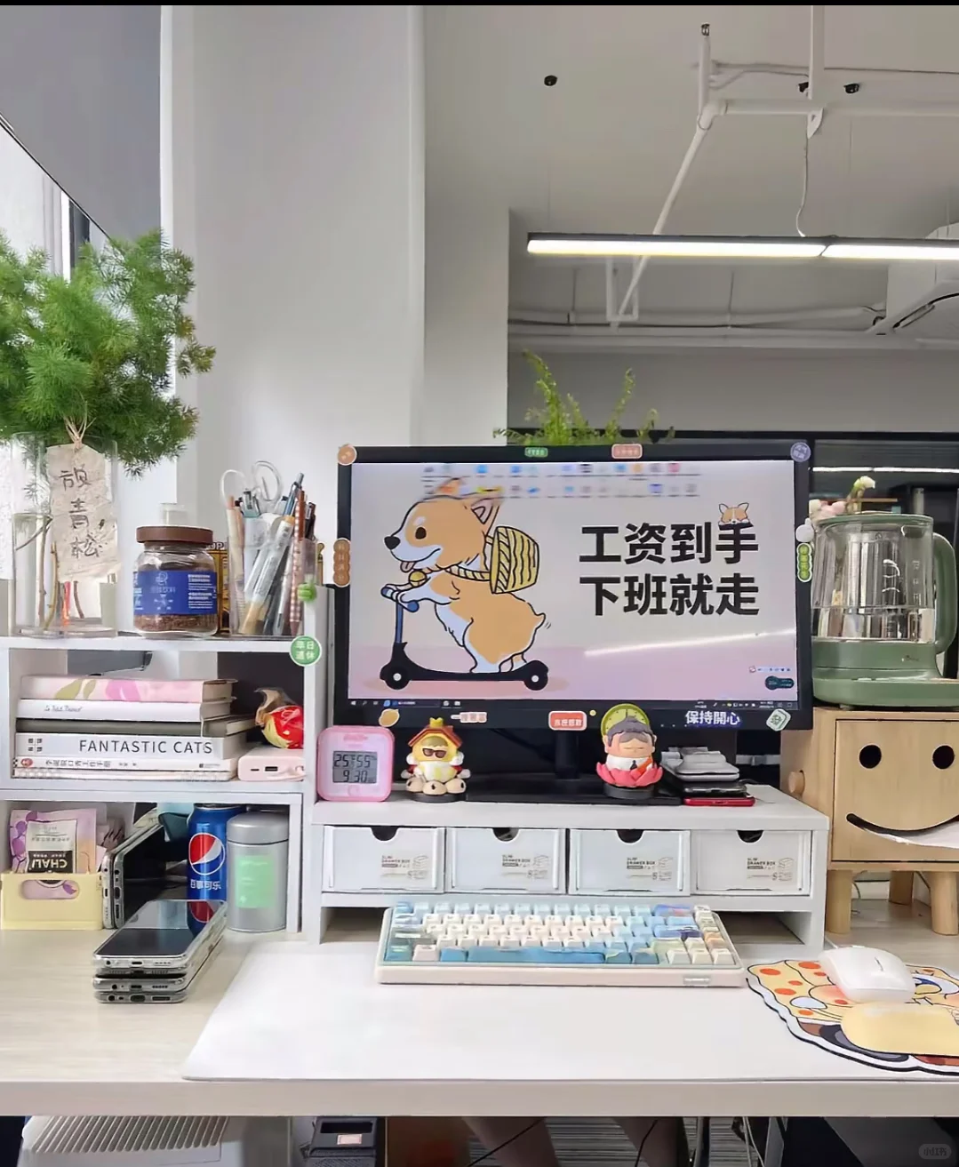 合肥有没有来做文员的 小白也行🤭