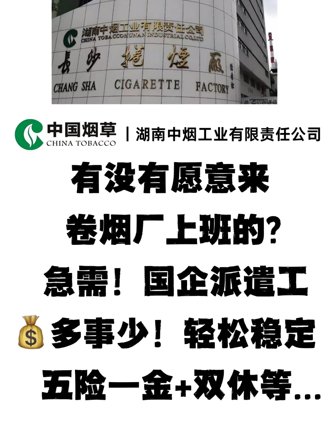 普通人也能进的央国企，卷烟厂派遣工，快冲！
