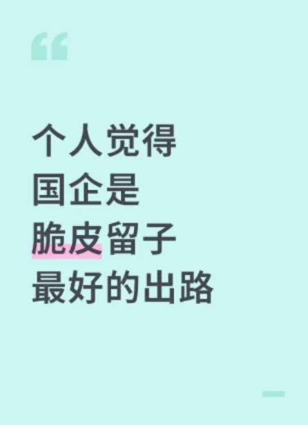 个人觉得国企是脆皮留子最好的出路