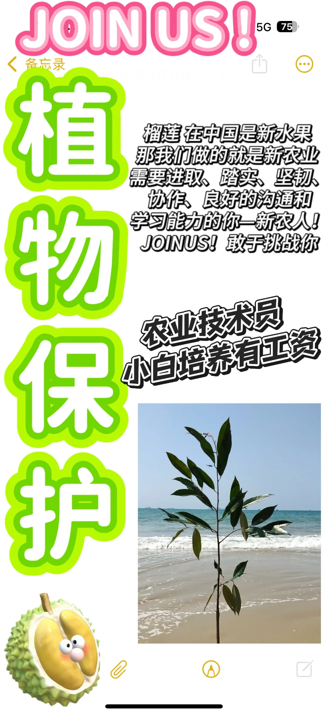 全国招聘 新农人创新水果