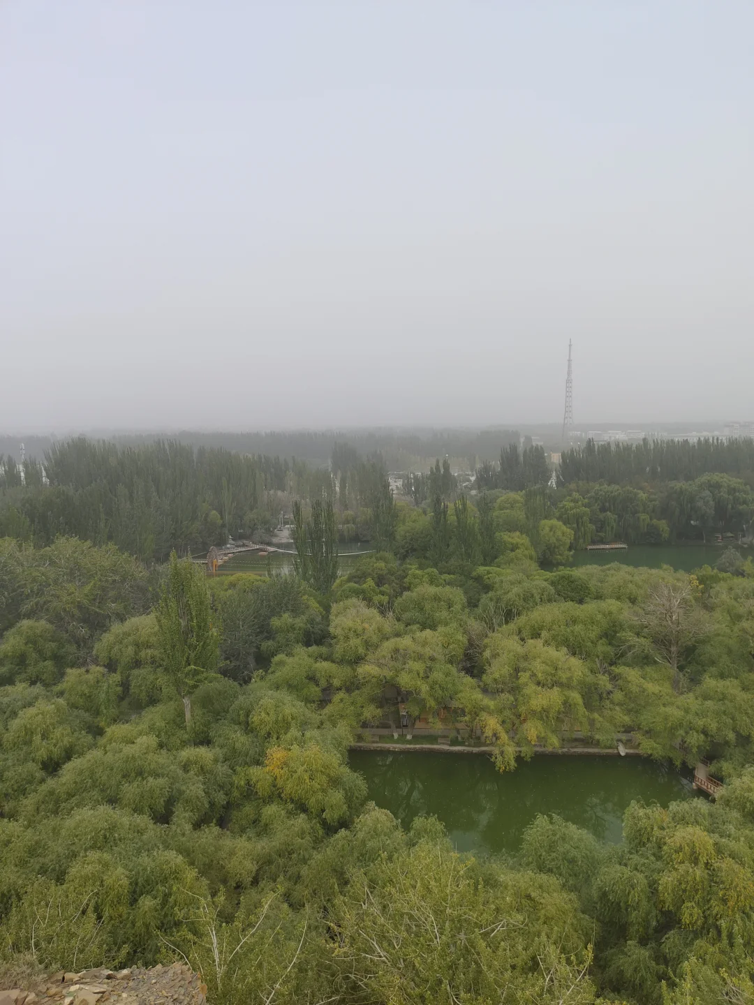 离家3000公里的事业编