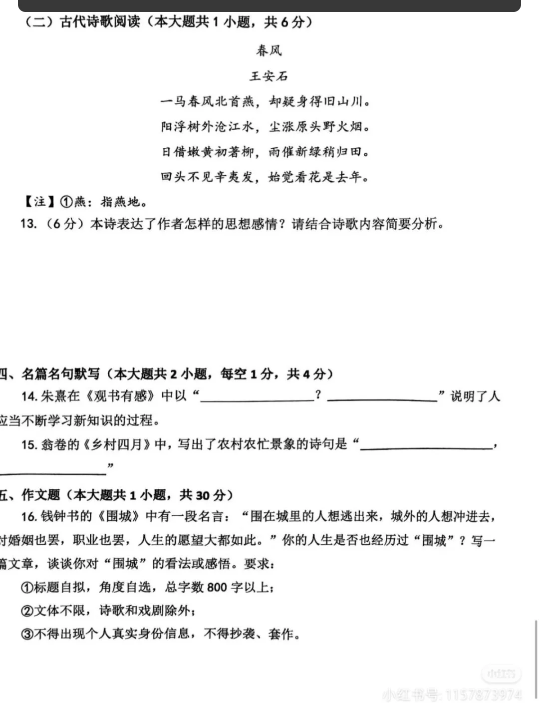 有编！2025长沙市望城区公开招聘教师183人