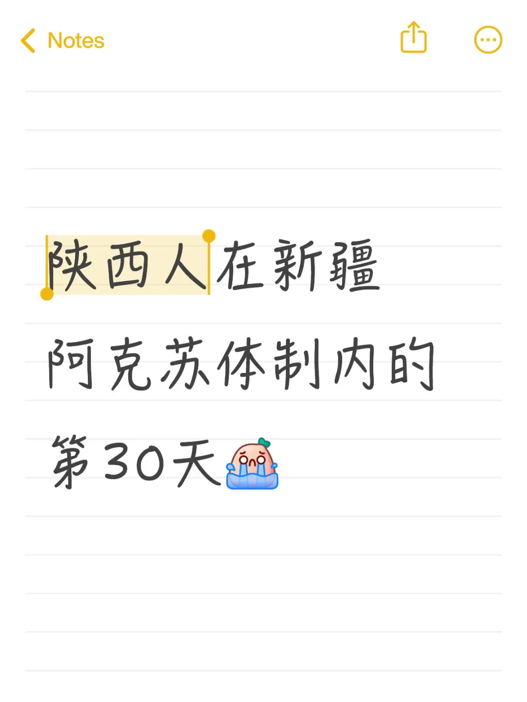 离家3000公里的事业编