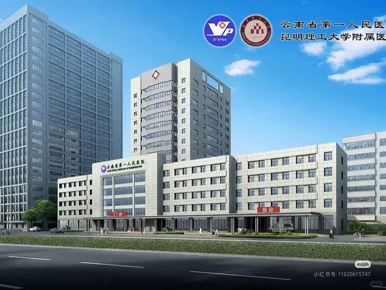 云南省第一人民医院招聘 本科以上