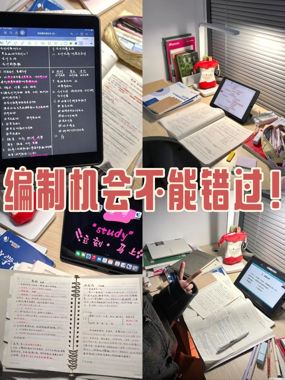 专科生必看！这5个编制机会别错过
